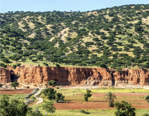 Taroudant, a window to moutains and desert